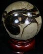 Polished Septarian Sphere #32010-1